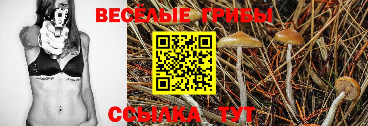 Псилоцибиновые грибы Cubensis Донецк