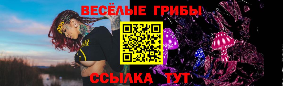 Донецк  Галлюциногенные грибы MAGIC MUSHROOMS  Вход с VPN 